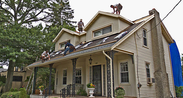 Roof Gutter Cleaning in Sheridan, CA